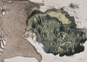 Mechtild Lohmanns, Insel Zoos, 2014